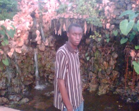 will gu,n